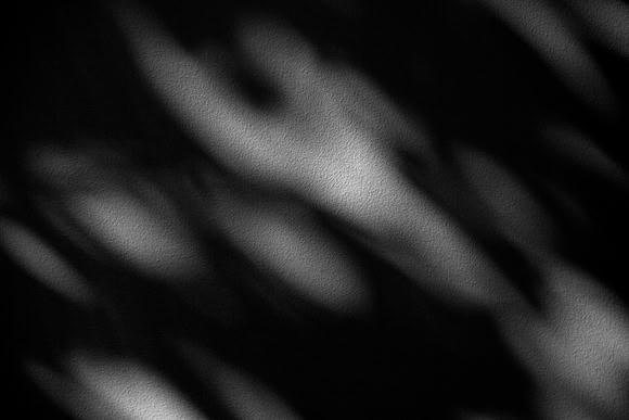 Shadows