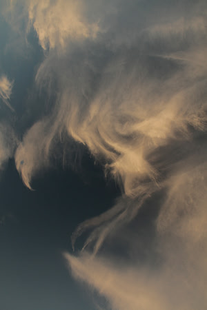Eagle In The Clouds