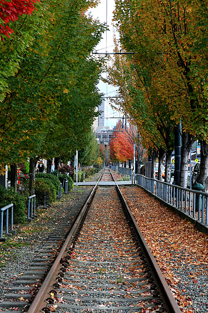 Seattle Waterfront Autumn Foliage
