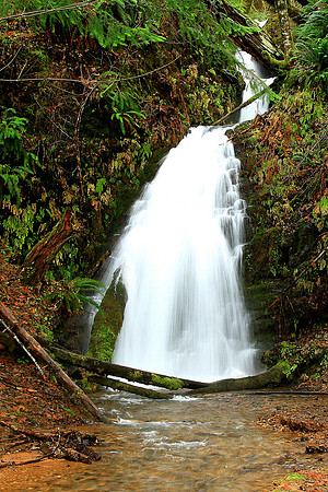 Wilson River Waterfall