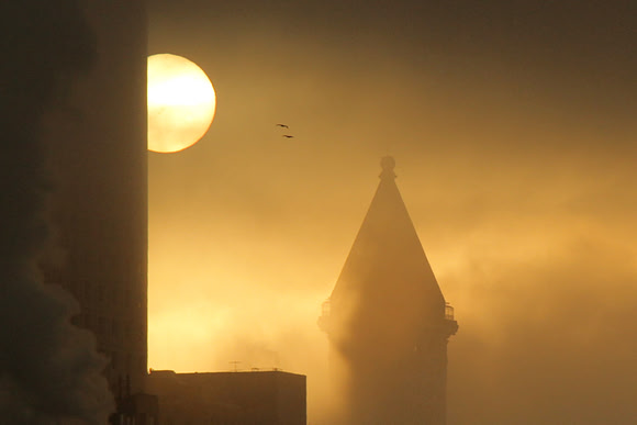 Seattle Fog