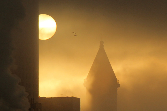 Seattle Fog