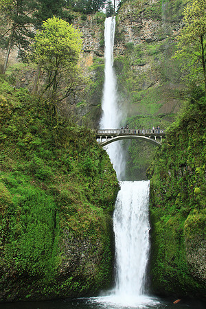 Multnomah Falls - Oregon
