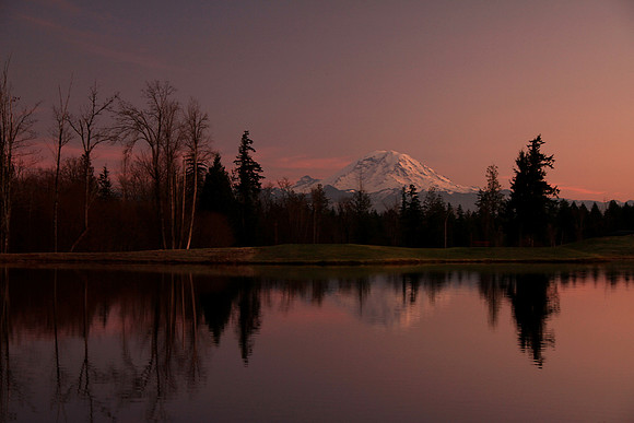 Mt. Rainier Sunset Reflection