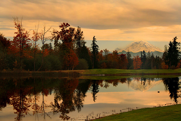 Mt. Rainier