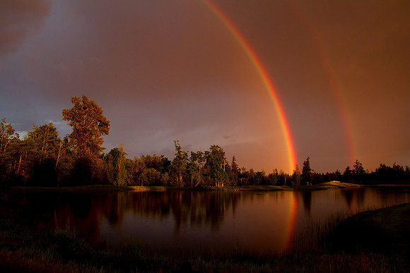 Rainbow