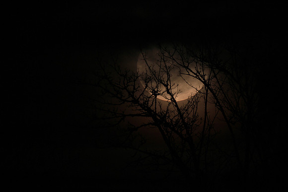Moonrise