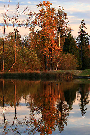 Autumn Reflection