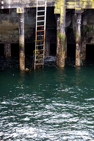 Seattle High Tide