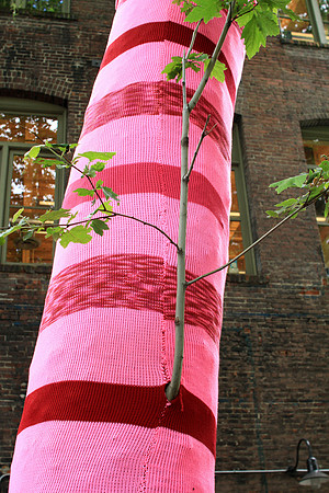Yarn Bombing In Pioneer Square