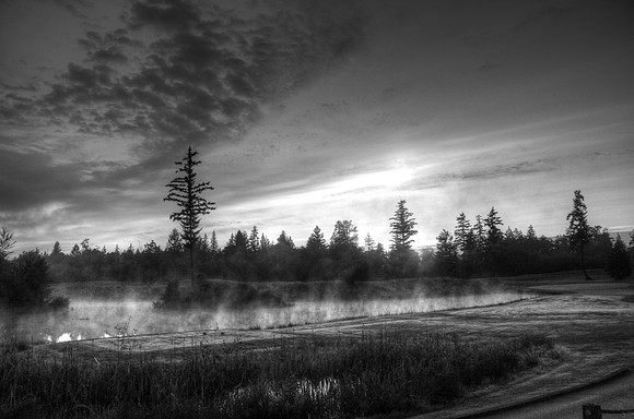 Foggy Sunrise