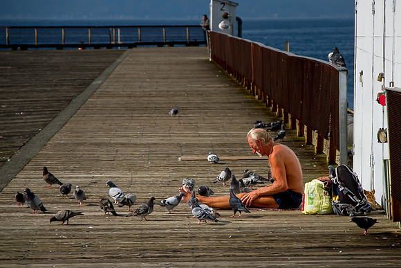 Homeless Man With Birds