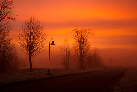 Foggy Sunrise