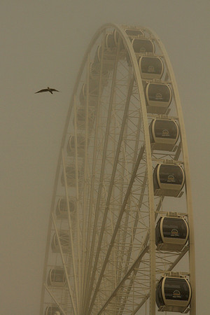 Seattle Ferris Wheel In The Fog