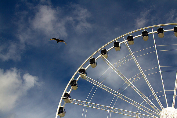 Seattle Ferris Wheel