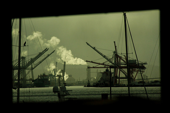 Port Of Seattle